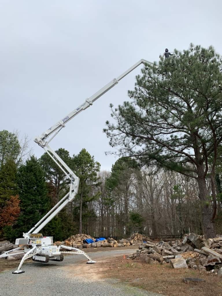 Tree trimming project Matthews NC