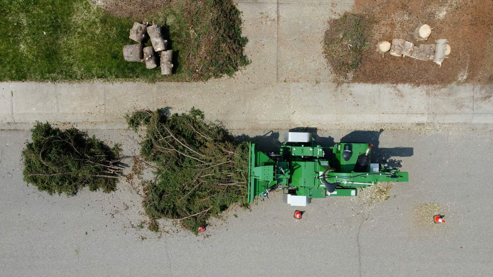 Stump grinding Charlotte NC